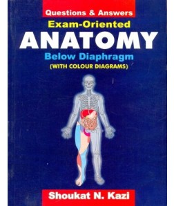 Exam Oriented Anatomy Below Diaphragm: Questions & Answers