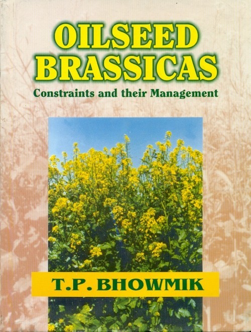 Oilseed Brassicas: Constraints & Their Management