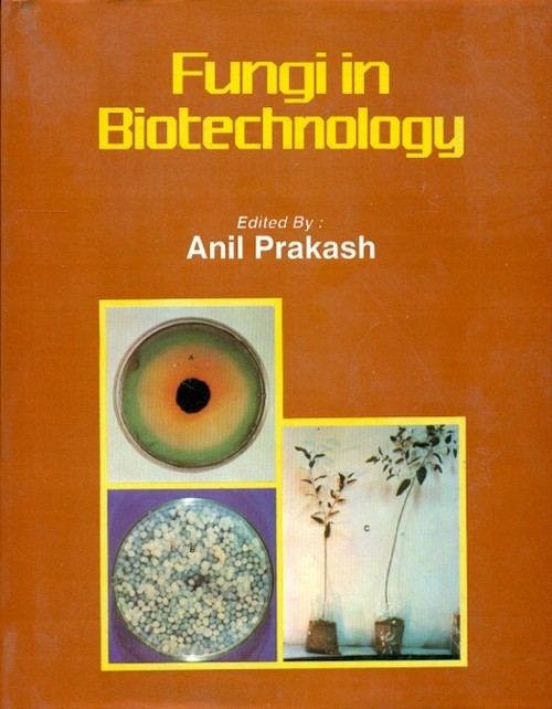 Fungi In Biotechnology (Hb)