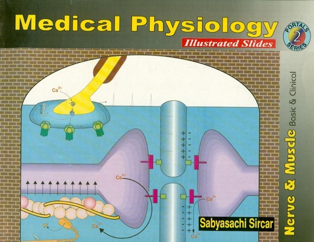 Medical Physiology Illustrated Slides, Part 2