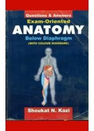 Exam Oriented Anatomy Below Diaphragm: Questions & Answers