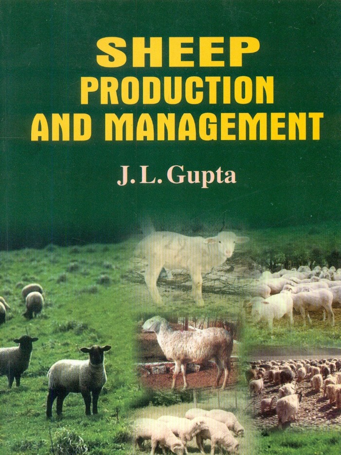 Sheep Production And Management